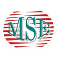 Media, Sports and Entertainment Group (MSE)